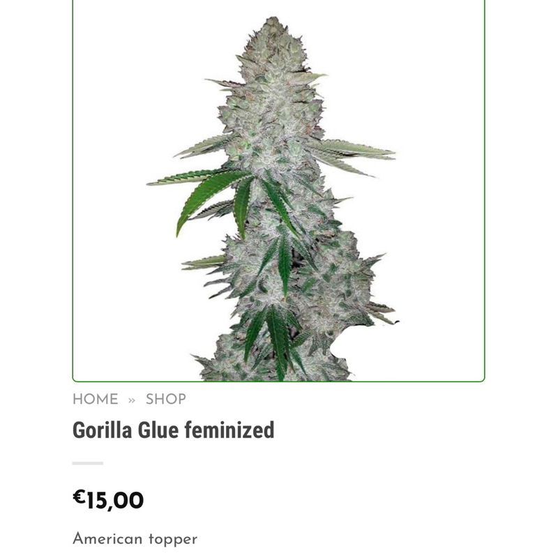 Gorilla Glue — 4