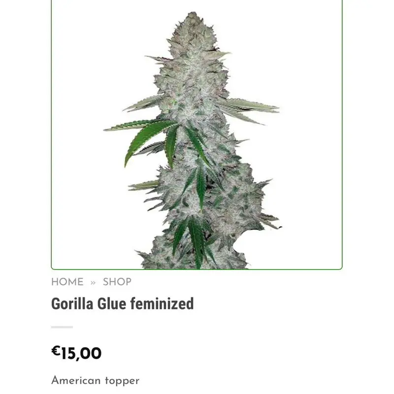 Gorilla Glue — 4