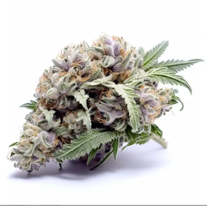 Gorilla Glue — 5