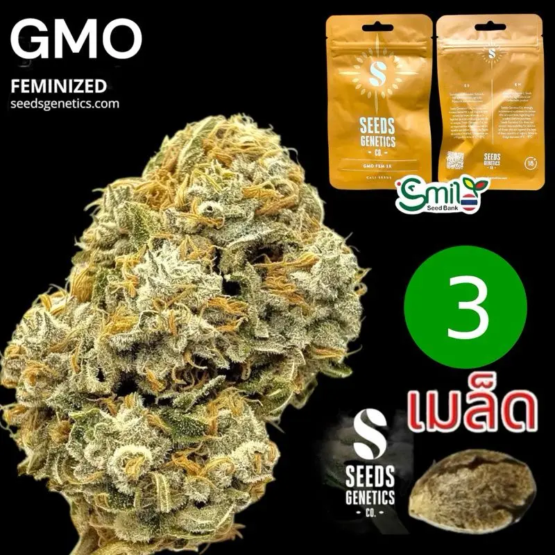 GMO — 1
