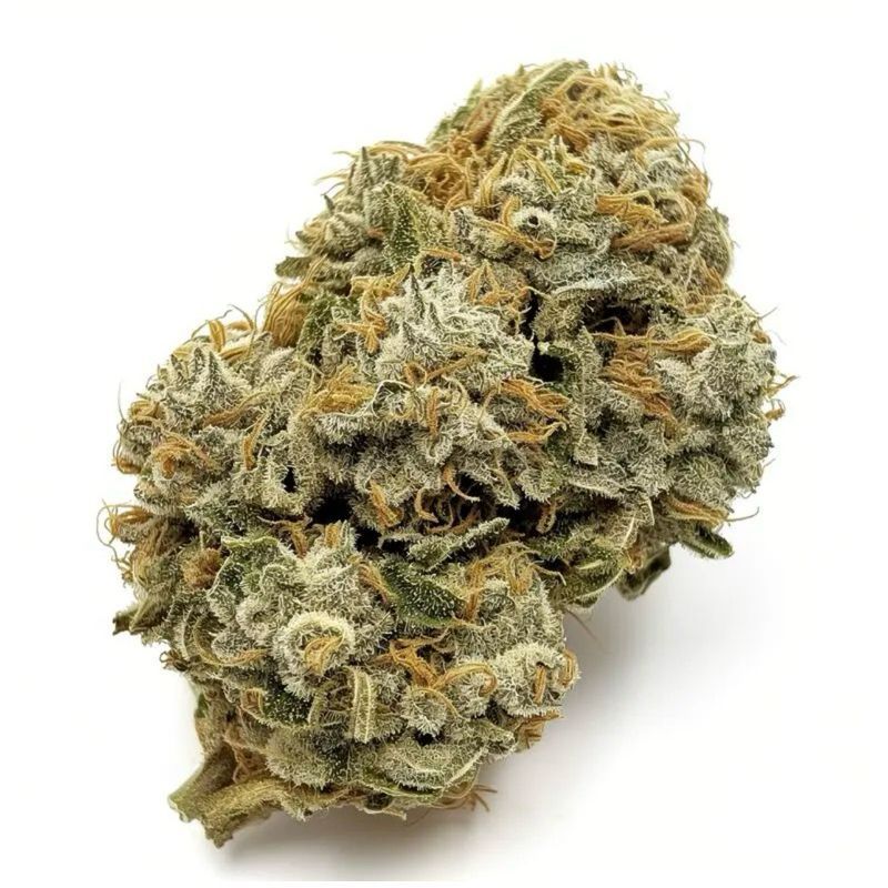 GMO — 2