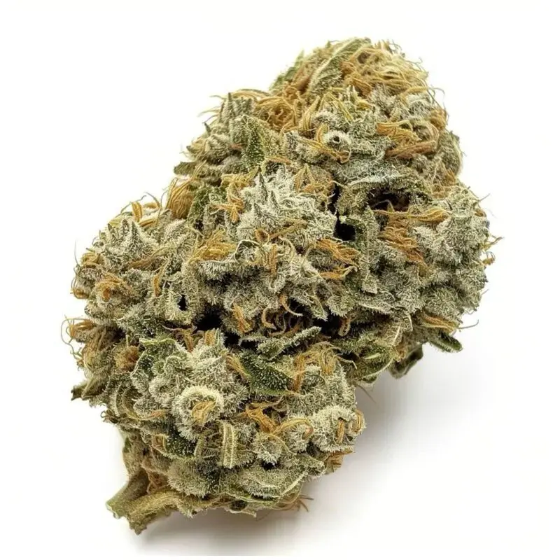 GMO — 2