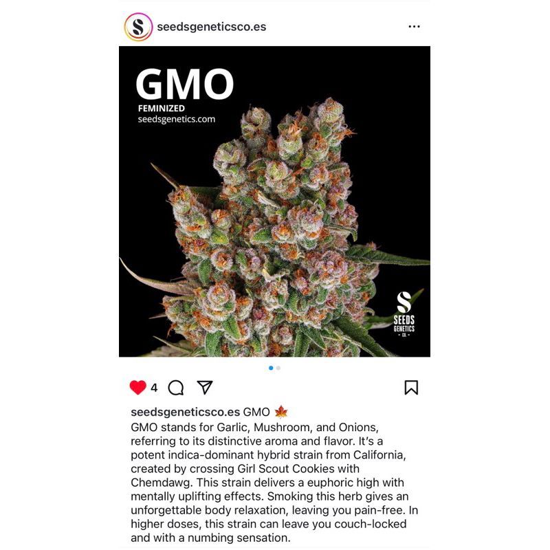 GMO — 3