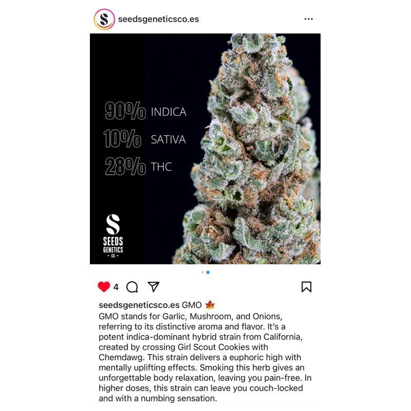 GMO — 4