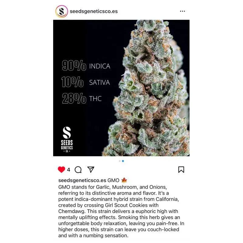 GMO — 4