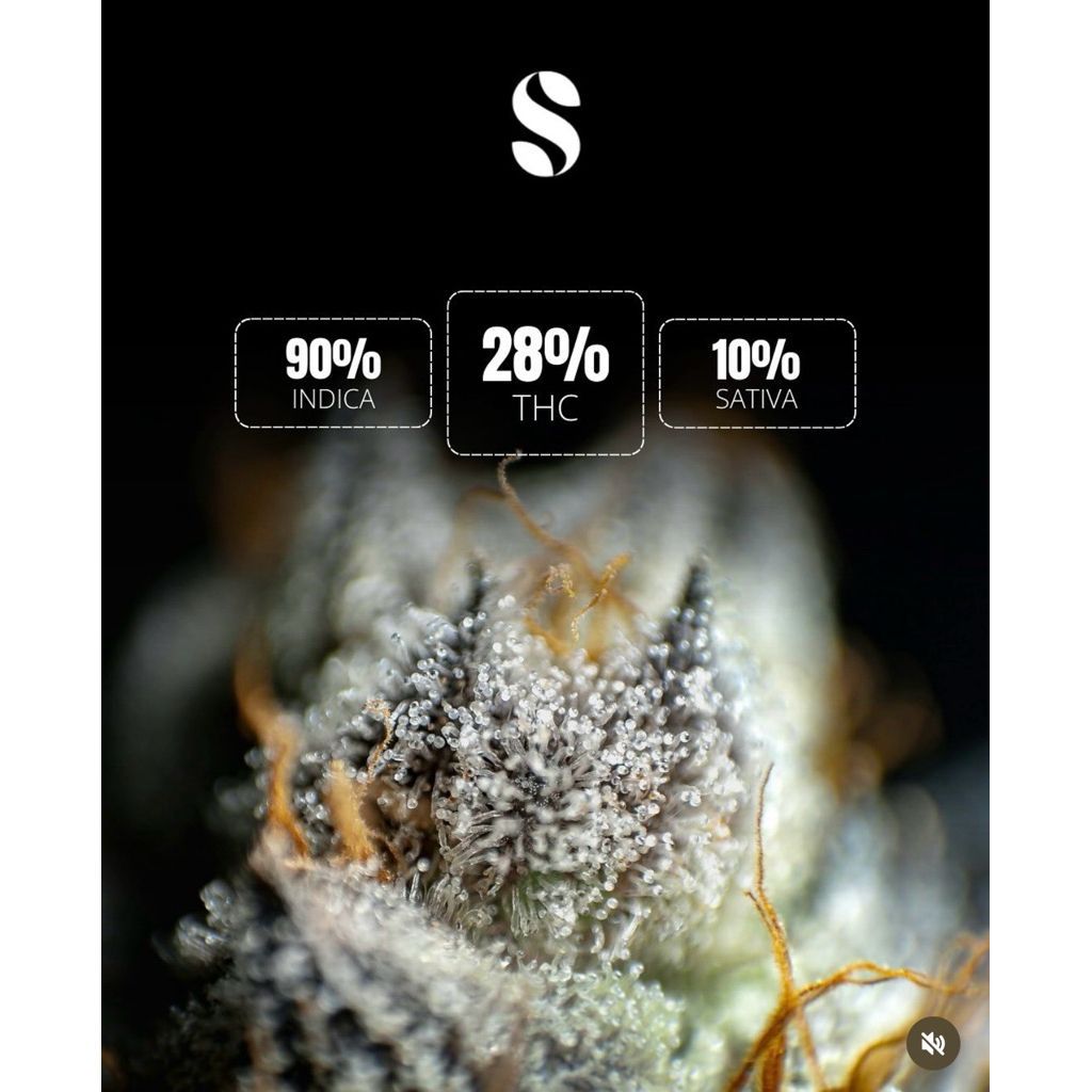 GMO — 5