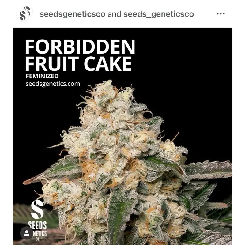 Forbidden Fruit Cake — 2