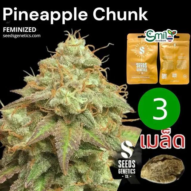 Pineapple Chunk — 1