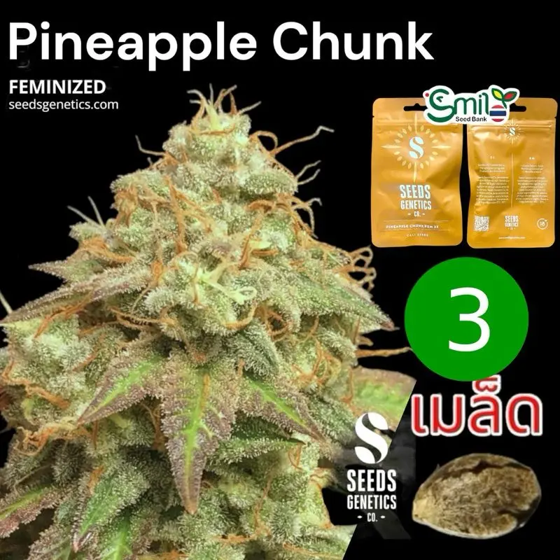 Pineapple Chunk — 1