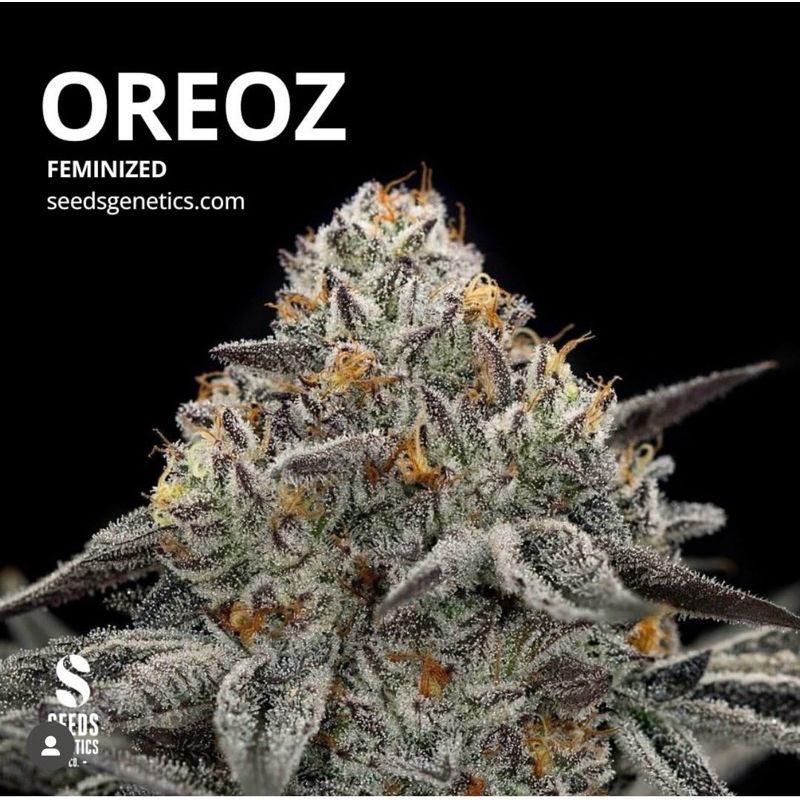 Oreoz — 2