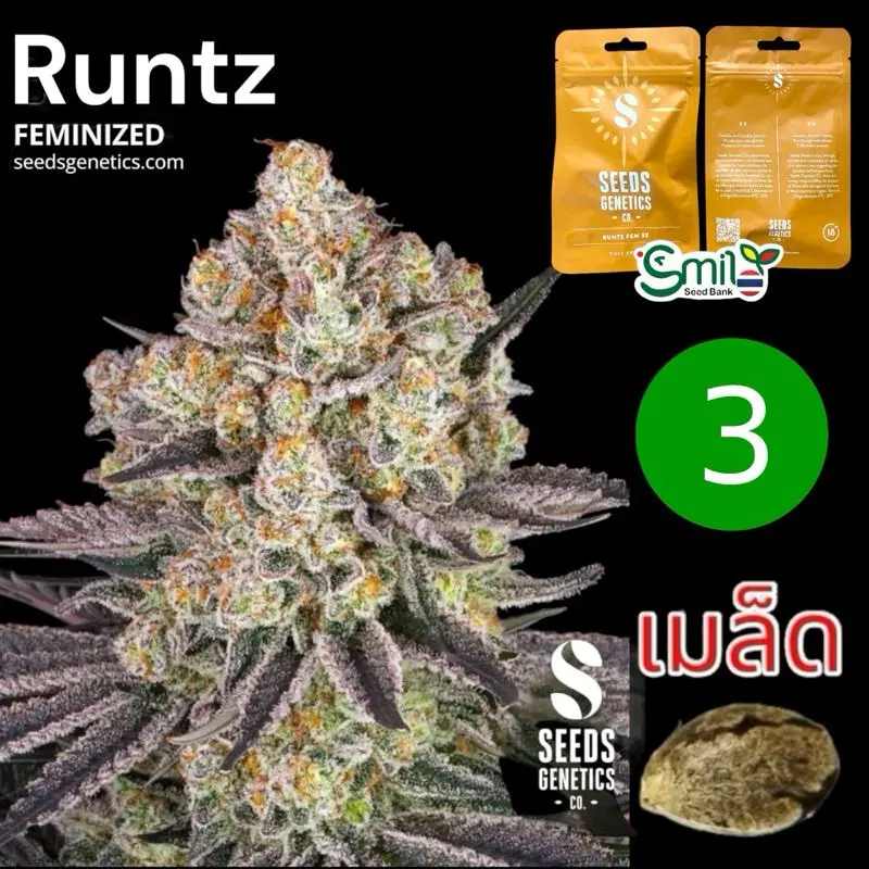 Runtz — 1