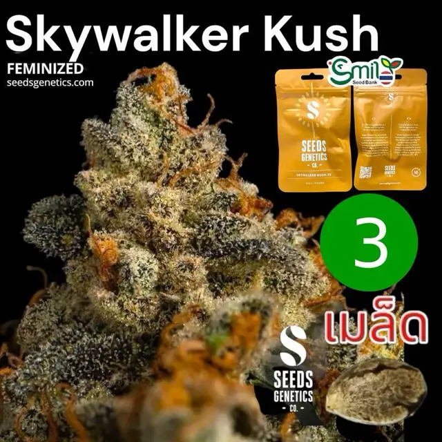 Skywalker Kush — 1