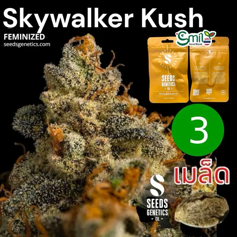 Skywalker Kush — 1