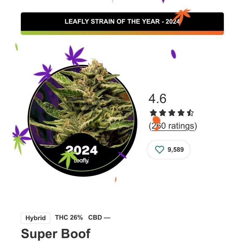 Super Boof — 4