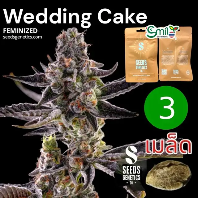 Wedding Cake — 1