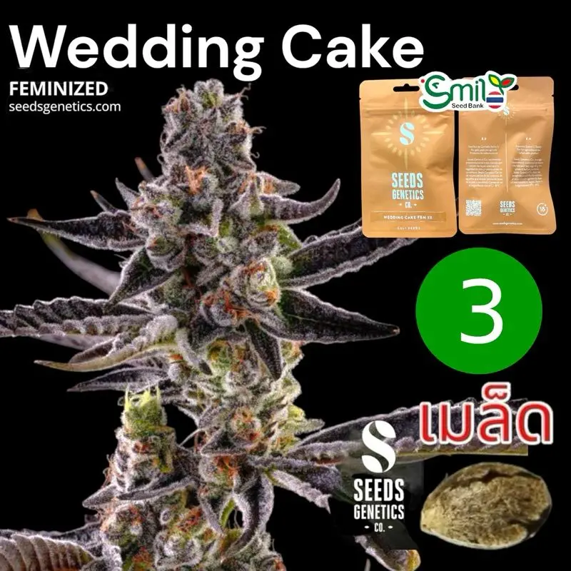 Wedding Cake — 1