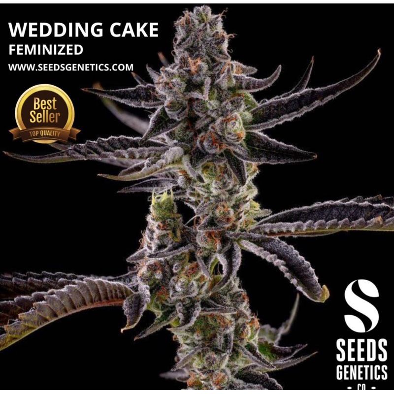 Wedding Cake — 2