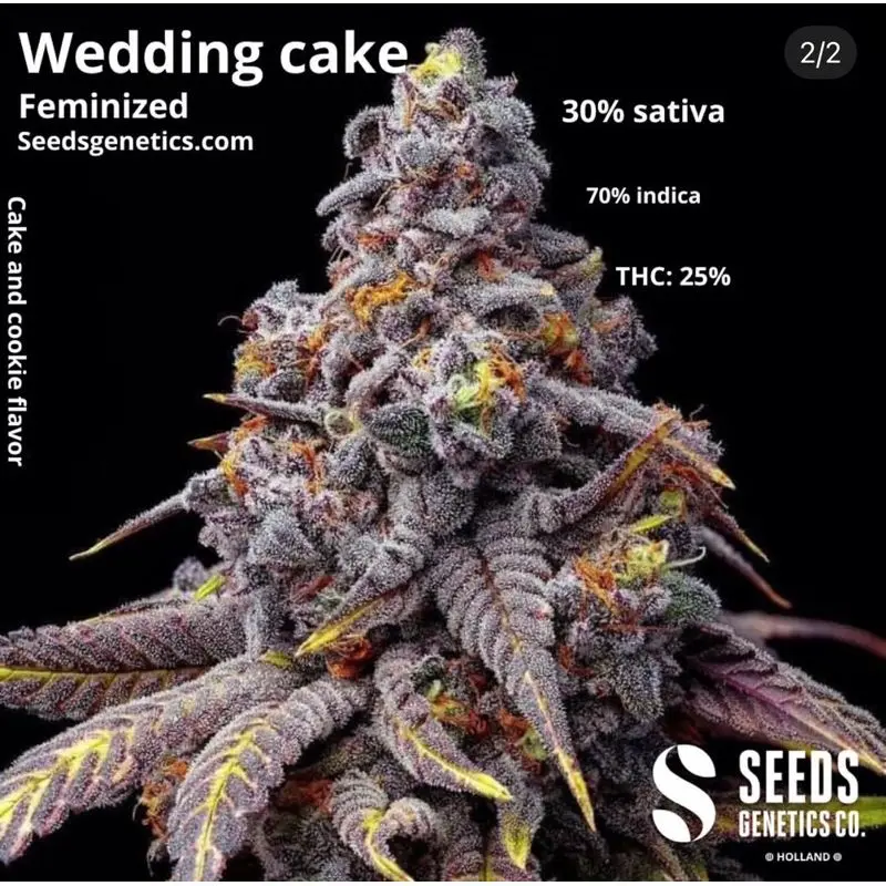 Wedding Cake — 4