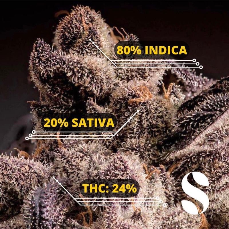 Zkittlez — 2