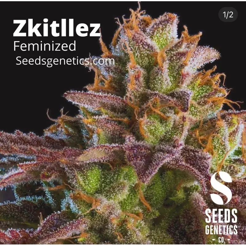 Zkittlez — 3