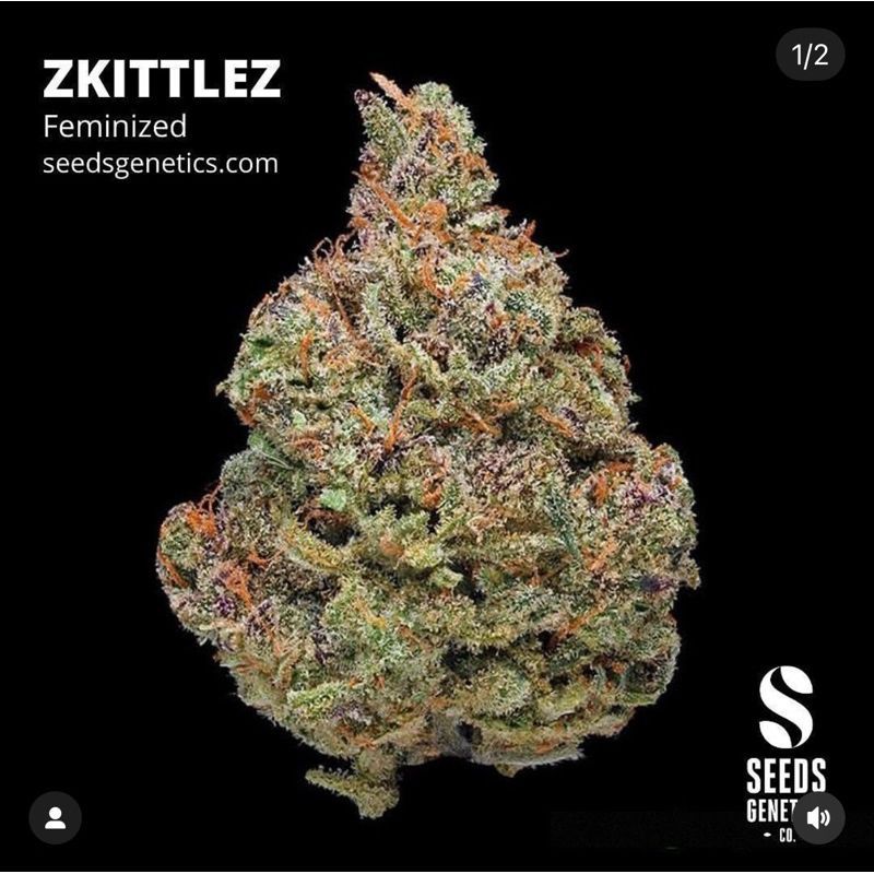 Zkittlez — 4