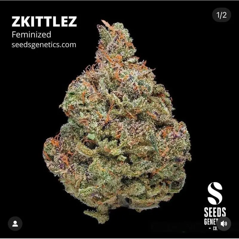 Zkittlez — 4