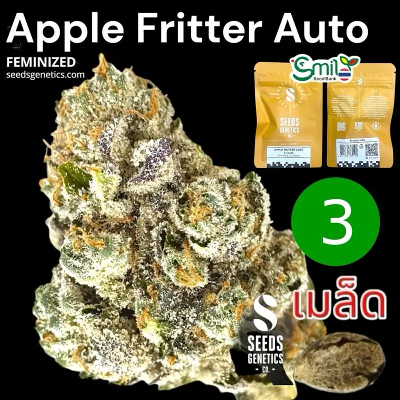 Apple Fritter Autoflower — 1
