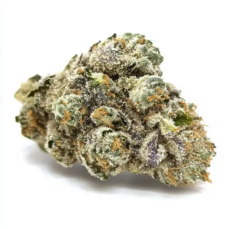 Apple Fritter Autoflower — 2