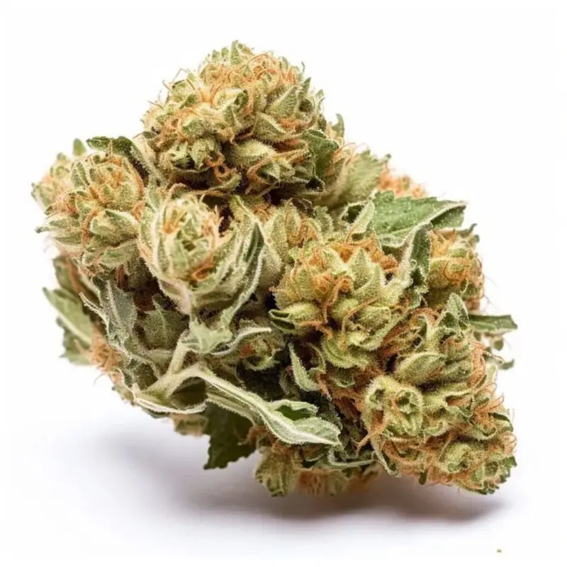 Bruce Banner Autoflower — 5