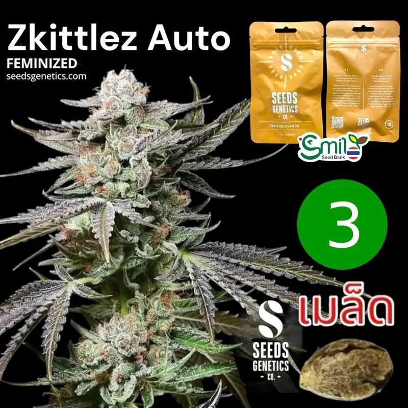 Zkittlez Autoflower — 1