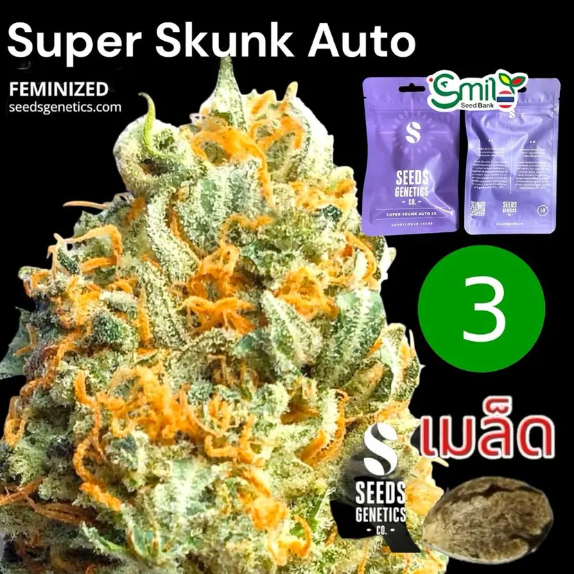 Super Skunk — 1