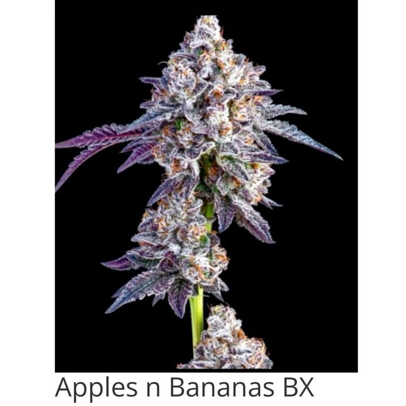 Apples and Bananas — 3