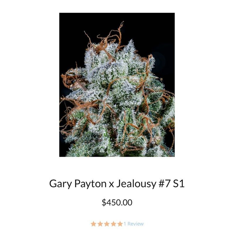 Gary Payton x Jealousy #7 S1 — 2