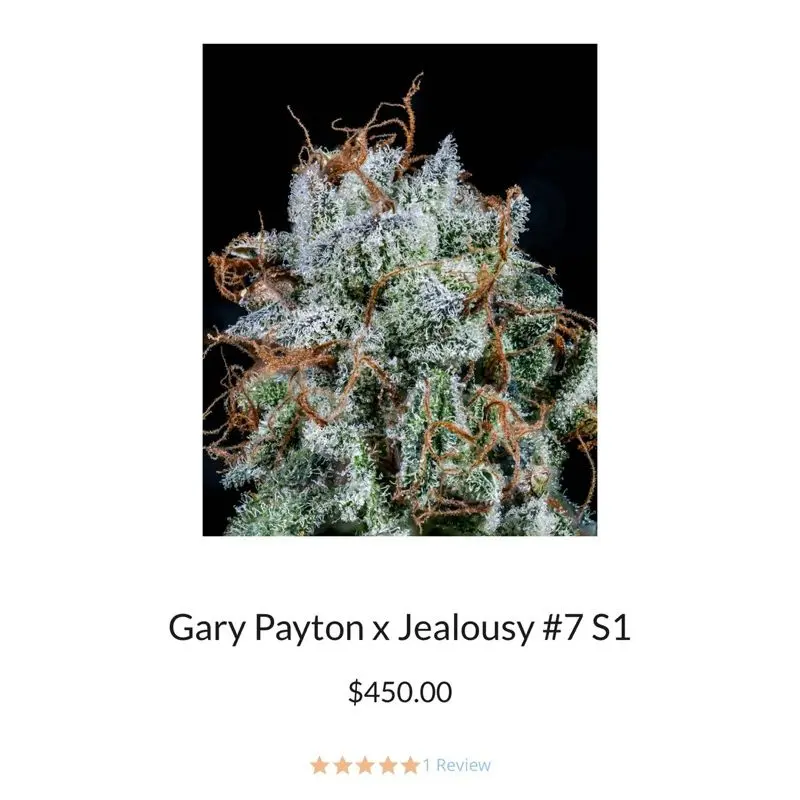 Gary Payton x Jealousy #7 S1 — 2