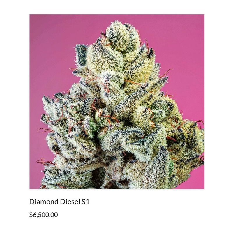 Diamond Diesel S1 — 2