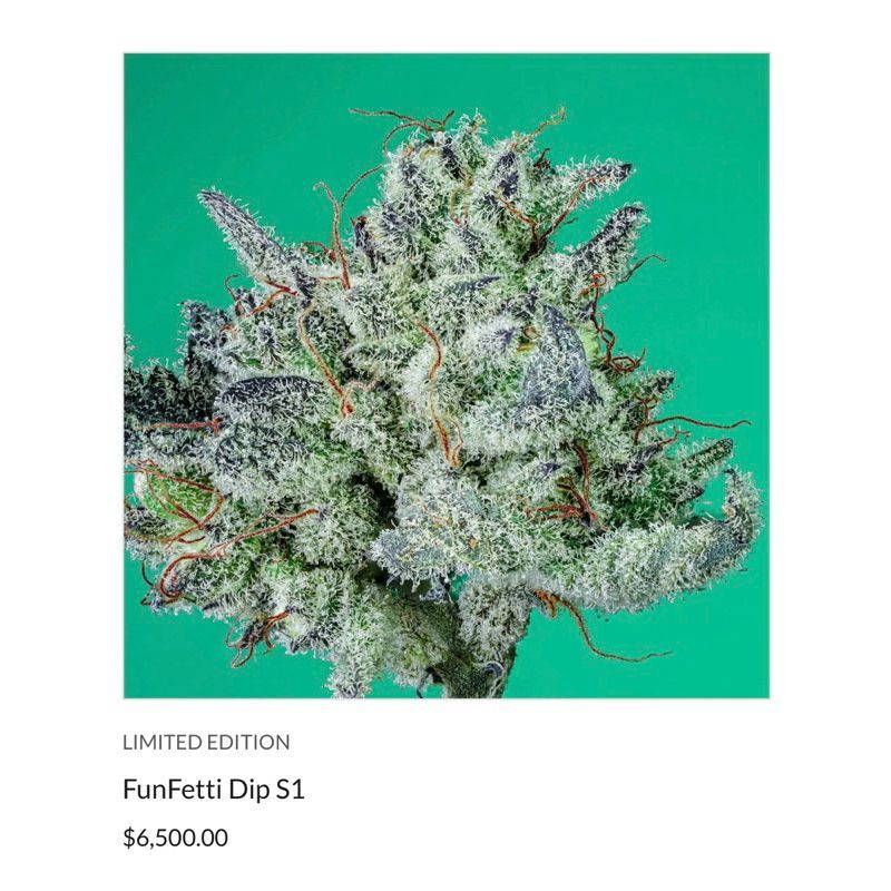 FunFetti Dip S1 — 2