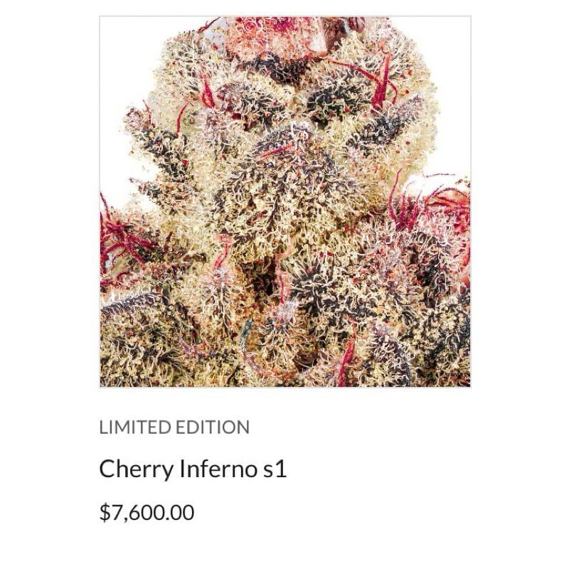 Cherry Inferno — 3