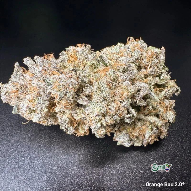 Orange Bud 2.0 — 5