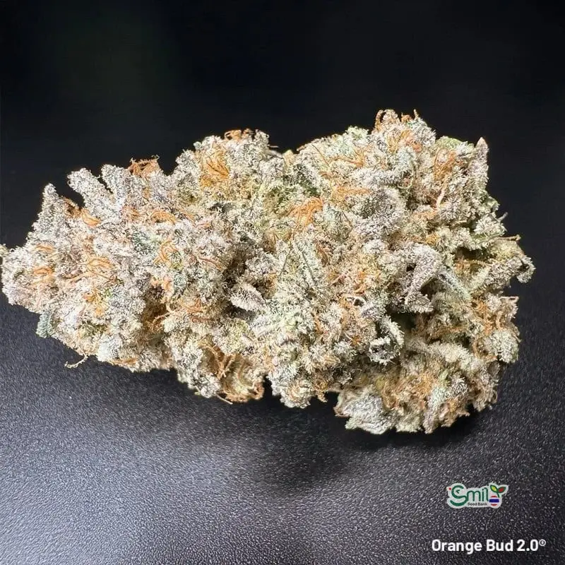Orange Bud 2.0 — 5