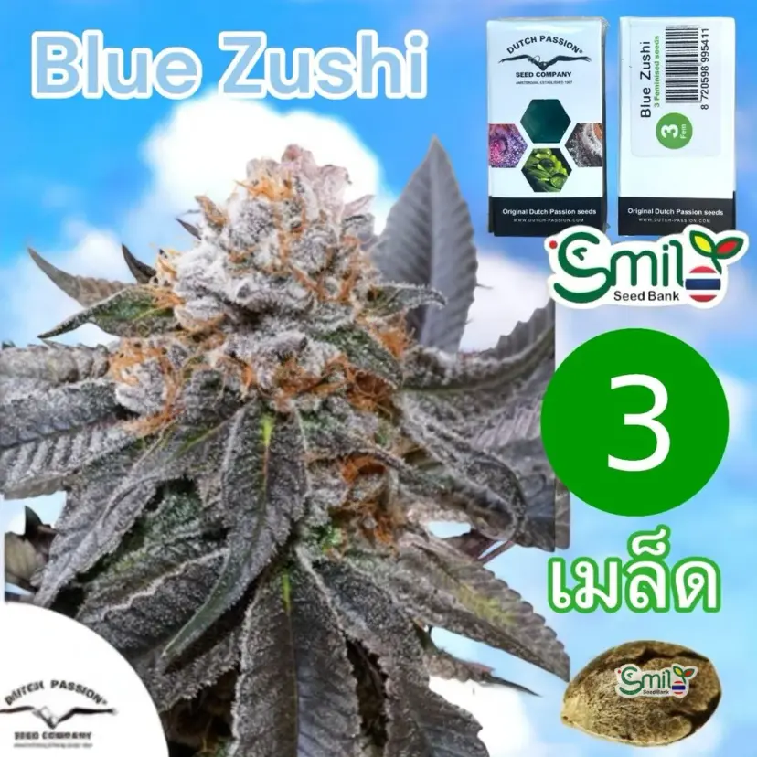 Blue Zushi — 2