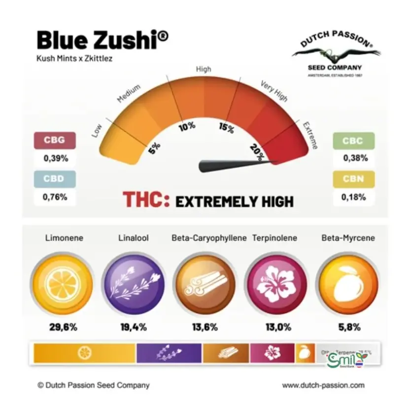 Blue Zushi — 5