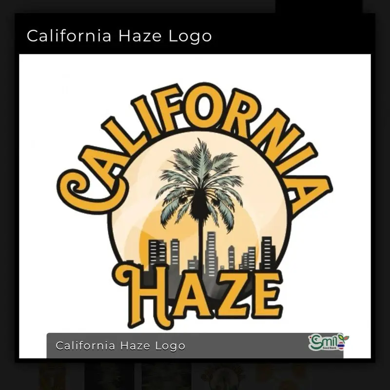 California Haze — 3