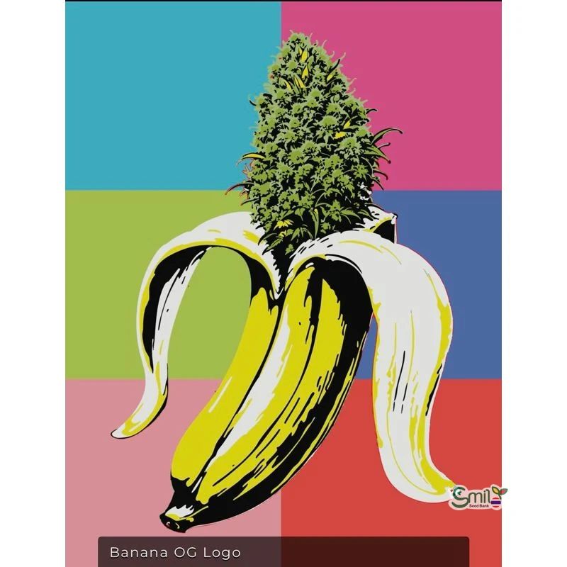 Banana OG — 3