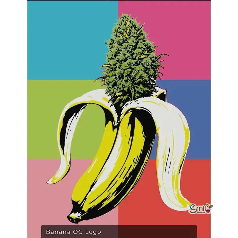 Banana OG — 3