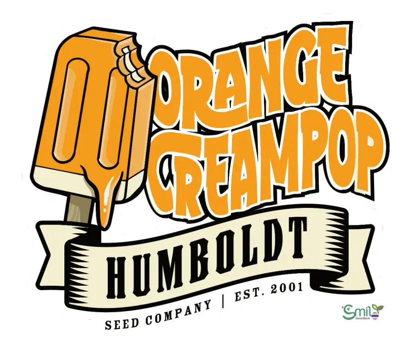 Orange Creampop — 3