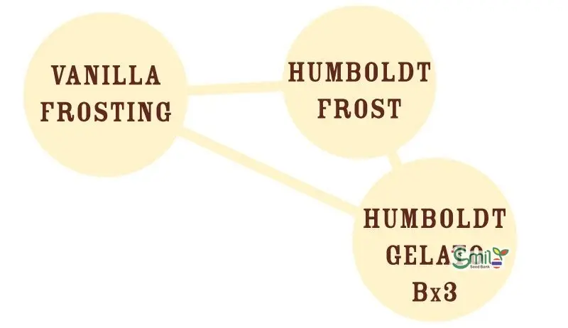 Vanilla Frosting — 3