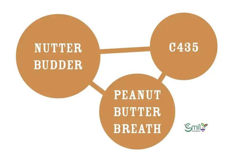 Nutter Budder — 4