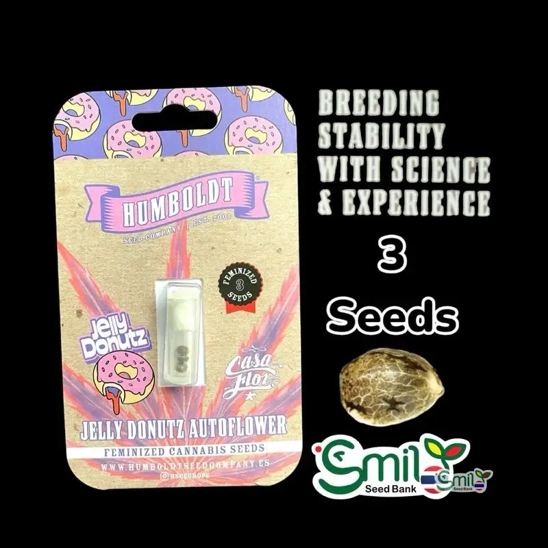 Jelly Donutz Autoflower — 1