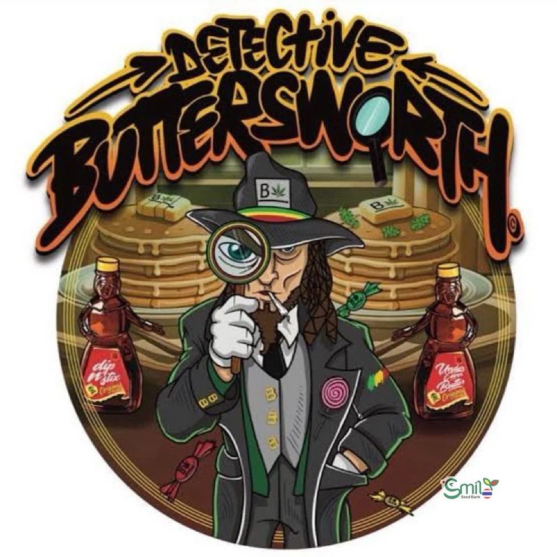Detective Buttersworth — 3