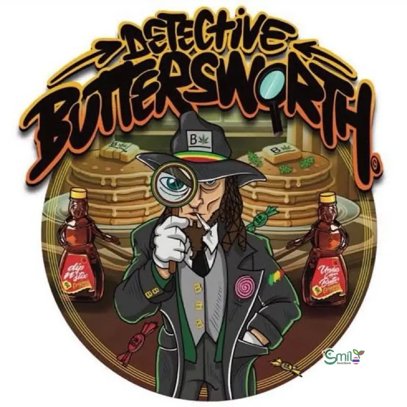 Detective Buttersworth — 3